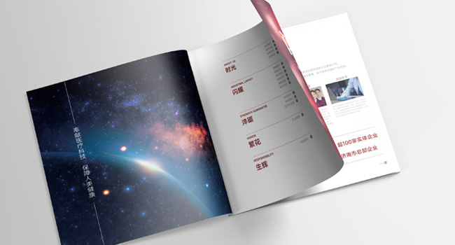 銀豐生物集團企業畫冊設計