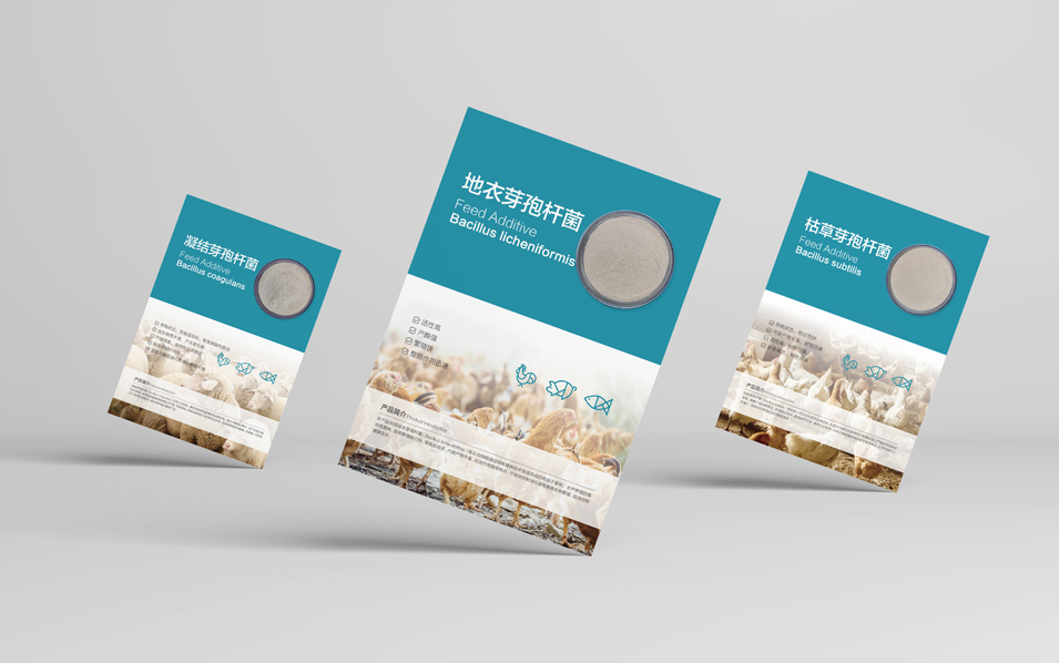 農業畜牧業畫冊設計、封套單頁設計